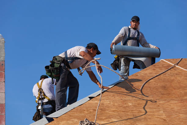 Best Roof Gutter Cleaning  in Glenmora, LA